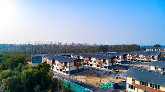 丰县最新爆料,揭秘背后惊人真相